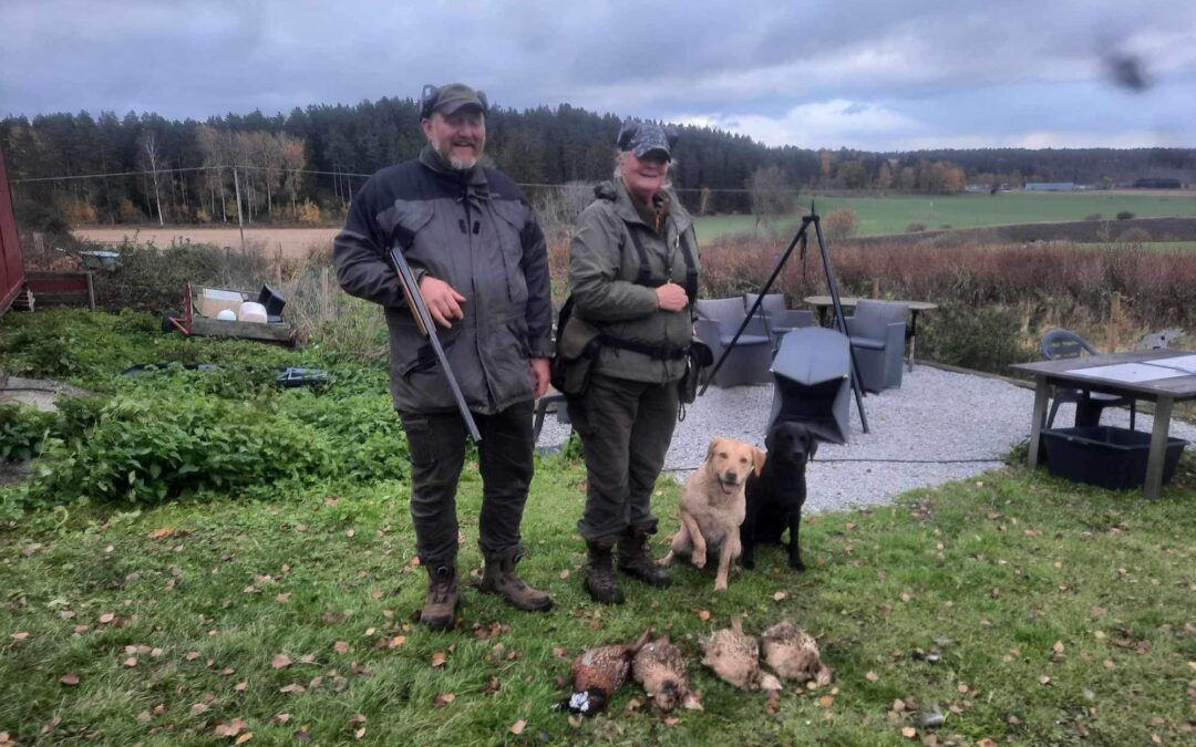 Yes stand-in som spaniel